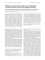 Báo cáo khoa học: Puriﬁcation and partial characterization of seven glutathione S -transferase isoforms from the clam Ruditapes decussatus pptx