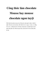 Công thức làm chocolate Mousse hay mousse chocolate ngon tuyệt pptx