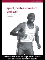 Sport, Professionalism and Pain: Ethnographies of injury and risk doc