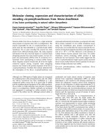 Báo cáo khoa học: Molecular cloning, expression and characterization of cDNA encoding cis-prenyltransferases from Hevea brasiliensis A key factor participating in natural rubber biosynthesis pdf