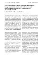 Báo cáo Y học: Barley a-amylase Met53 situated at the high-afﬁnity subsite )2 belongs to a substrate binding motif in the bﬁa loop 2 of the catalytic (b/a)8-barrel and is critical for activity and substrate speciﬁcity pot