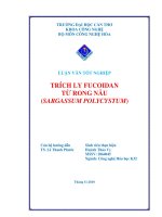 trích ly fucoidan từ rong nâu sargassum polycystum