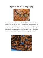 Đặc điểm sinh học cá Bống Tượng ppt