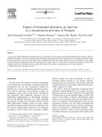 Castella 2004 impact of FLA on landuse VN