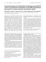 Báo cáo Y học: Functional integration of mitochondrial and hydrogenosomal ADP/ATP carriers in the Escherichia coli membrane reveals different biochemical characteristics for plants, mammals and anaerobic chytrids pdf