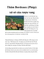 Thăm Bordeaux (Pháp): xứ sở của rượu vang docx