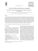 Growth of silicon nanostructures on graphite