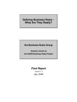 Defining Business Rules ~ What Are They Really? doc