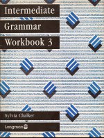 intermediate grammar workbook 3