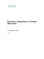 Economic Assessment of Puketoi Wind Farm doc