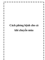 Cách phòng bệnh cho cá khi chuyển mùa potx