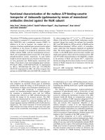 Báo cáo khoa học: Functional characterization of the maltose ATP-binding-cassette transporter of Salmonella typhimurium by means of monoclonal antibodies directed against the MalK subunit pot