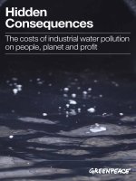 Hidden Consequences: The costs of industrial water pollution on people, planet and profit potx