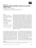 Báo cáo khoa học: Epigenetics: differential DNA methylation in mammalian somatic tissues ppt