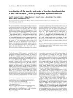 Báo cáo khoa học: Investigation of the kinetics and order of tyrosine phosphorylation in the T-cell receptor f chain by the protein tyrosine kinase Lck potx