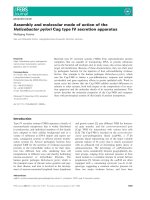 Báo cáo khoa học: Assembly and molecular mode of action of the Helicobacter pylori Cag type IV secretion apparatus doc