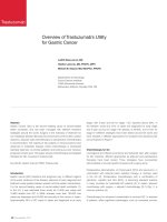 Overview of Trastuzumab’s Utility for Gastric Cancer pdf