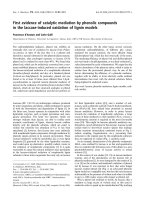 Báo cáo khoa học: First evidence of catalytic mediation by phenolic compounds in the laccase-induced oxidation of lignin models ppt