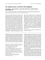 Báo cáo khoa học: The oxidation process of Antarctic ﬁsh hemoglobins pot