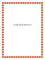 Ca dao đề tài dứt duyên phận docx