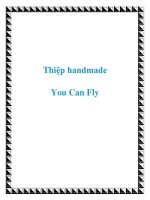 Thiệp handmade You Can Fly doc