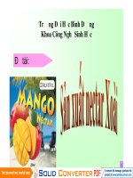 Sản xuất nectar xoài pot