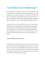 Liệu đã đến lúc bạn trở thành ông chủ ? doc