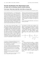Báo cáo Y học: Pyruvate decarboxylase from Kluyveromyces lactis An enzyme with an extraordinary substrate activation behaviour pptx