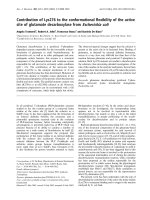 Báo cáo Y học: Contribution of Lys276 to the conformational ﬂexibility of the active site of glutamate decarboxylase from Escherichia coli pptx