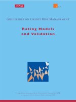 Guidelines on Credit Risk Management: Rating Models and Validation doc