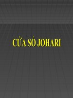 CỬA SỔ JOHARI pdf