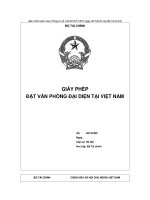 MẪU GIẤY PHÉP ĐẶT VĂN PHÒNG ĐẠI DIỆN TẠI VIỆT NAM doc