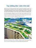 Tạo những khu vườn trên mái pot