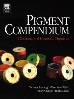 The Pigment Compendium A dictionary of historical pigments ppt