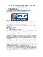 Cấu trúc lại Công ty CP Hóa dầu Petrolimex hoạt động theo mô hình Công ty mẹ - Công ty con