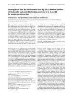 Báo cáo Y học: Investigations into the mechanisms used by the C-terminal anchors of Escherichia coli penicillin-binding proteins 4, 5, 6 and 6b for membrane interaction ppt
