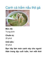 Canh cá trắm nấu thịt gà potx