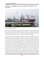 giới thiệu tổng quan về công ty tnhh mtv cảng chân mây