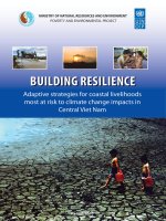 building resilience adaptive strategies for coastal livelihoods most at risk to climate change impacts in central viet nam