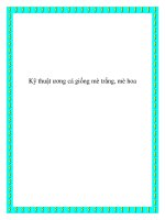 Kỹ thuật ương cá giống mè trắng pptx