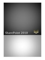 SharePoint 2010 pdf
