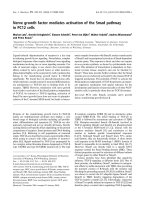 Báo cáo khóa học: Nerve growth factor mediates activation of the Smad pathway in PC12 cells doc