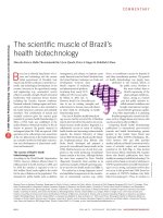 Sinh học, khả năng di truyền của từng tế bào