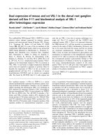 Báo cáo khoa học: Dual expression of mouse and rat VRL-1 in the dorsal root ganglion derived cell line F-11 and biochemical analysis of VRL-1 after heterologous expression pptx