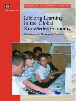 Lifelong Learning in the Global Knowledge Economy - Challenges for Developing Countries pptx