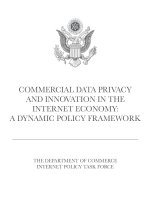 Commercial Data Privacy and Innovation in the Internet Economy: A Dynamic Policy Framework pot