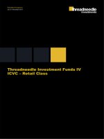 Threadneedle Investment Funds IV ICVC – Retail Class pot