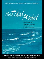 The Tidal Model A guide for mental health professionals potx