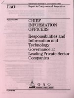chief information officers responsibilities and information and technology pptx