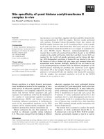 Báo cáo khoa học: Site speciﬁcity of yeast histone acetyltransferase B complex in vivo pot